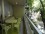 Flat Rental in Palermo