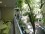 Fitz Roy and Santa Fe: Apartment for rent in Buenos Aires
