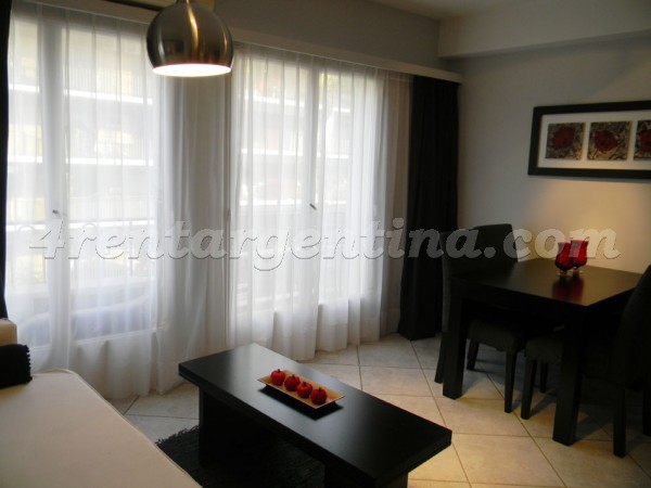 Vicente Lopez and Pueyrredon V, apartment fully equipped