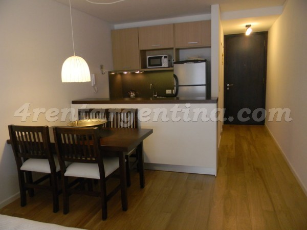 Bulnes and Las Heras III: Apartment for rent in Palermo