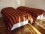 Bonpland and El Salvador: Apartment for rent in Palermo