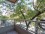Apartamento Amoblado en Senillosa y Rosario XIII, Caballito