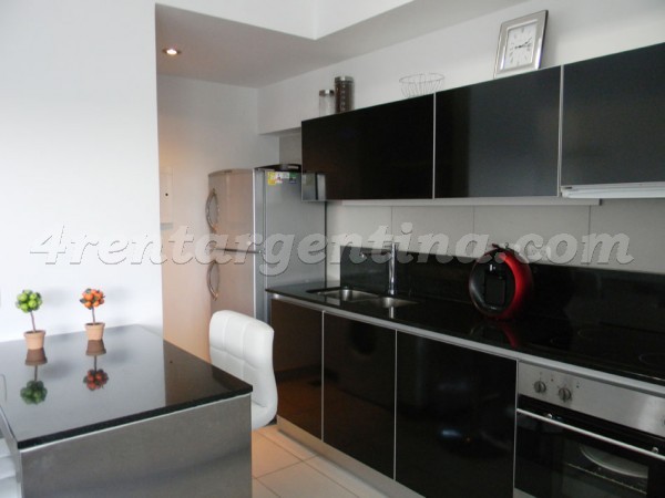 Pe�aloza and Juana Manso, apartment fully equipped