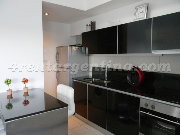 Pealoza and Juana Manso, apartment fully equipped