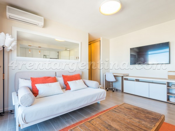 Gurruchaga and Charcas V, apartment fully equipped
