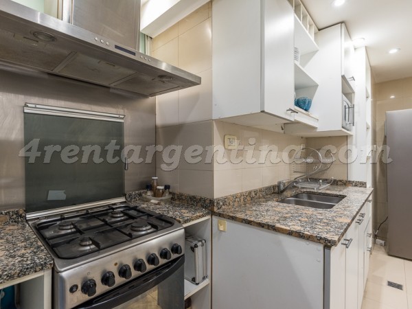 Apartment Lafinur and Gutierrez - 4rentargentina