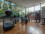 Pealoza and Julieta Lanteri: Apartment for rent in Buenos Aires