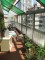 Flat Rental in San Telmo