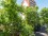 Flat Rental in Caballito