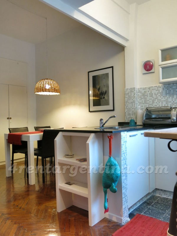 Arenales et Junin, apartment fully equipped
