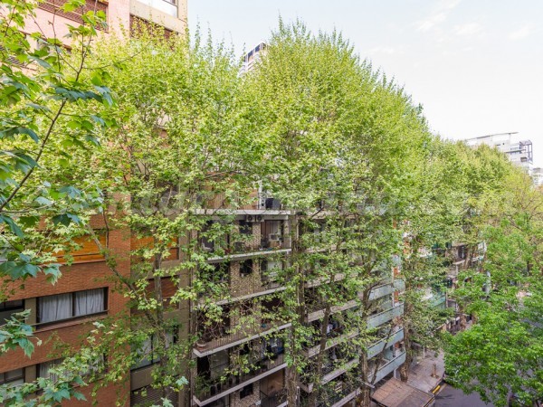 Apartment Segui and Sinclair V - 4rentargentina