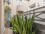 Flat Rental in Recoleta