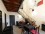 Apartment for temporary rent in Palermo