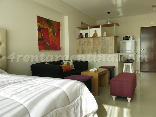 Apartment Bulnes and Cordoba - 4rentargentina