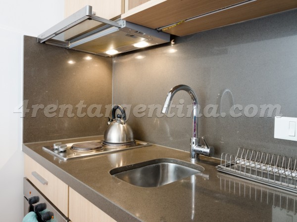 Bulnes and Las Heras IV: Apartment for rent in Buenos Aires