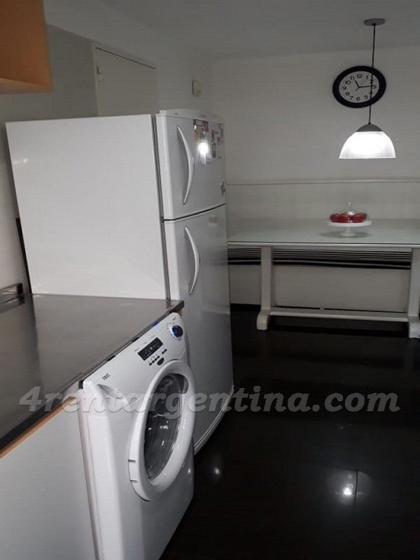 Cervi�o and Lafinur I, apartment fully equipped