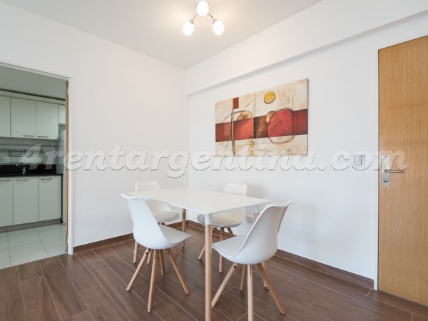 Apartamento Amoblado en Manso y Ezcurra VII, Puerto Madero