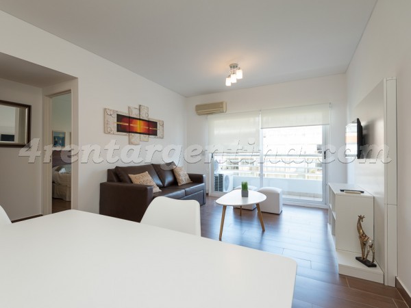 Apartamento Amoblado en Manso y Ezcurra VII, Puerto Madero