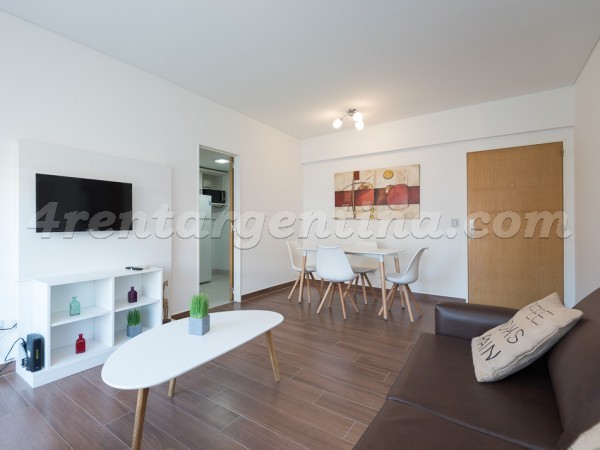 Manso et Ezcurra VII: Furnished apartment in Puerto Madero