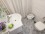 Apartment for temporary rent in Palermo