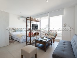 Apartment Niceto Vega and Bonpland - 4rentargentina