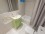 Cabello and Bulnes III: Furnished apartment in Palermo