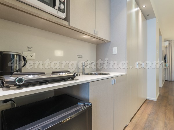 Bulnes and Guemes II, apartment fully equipped