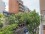 Palermo rent an apartment