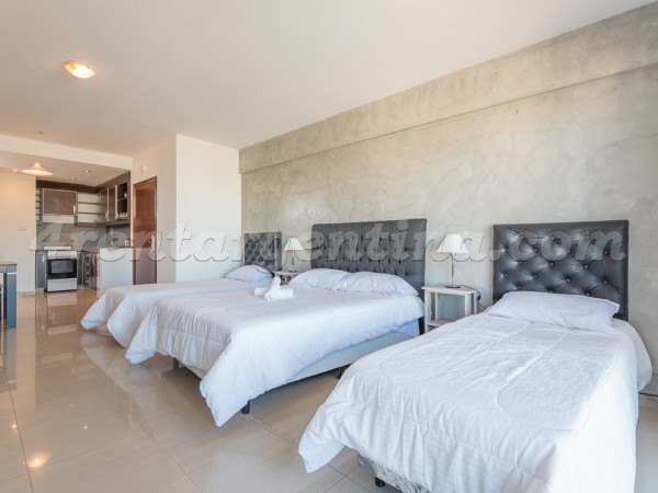 San Juan et Rincon I: Furnished apartment in Congreso