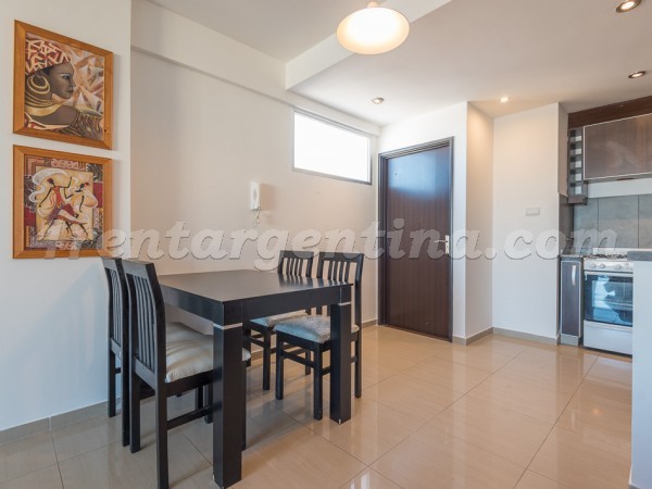 San Juan and Rincon I: Furnished apartment in Congreso