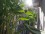 Apartment for temporary rent in Palermo