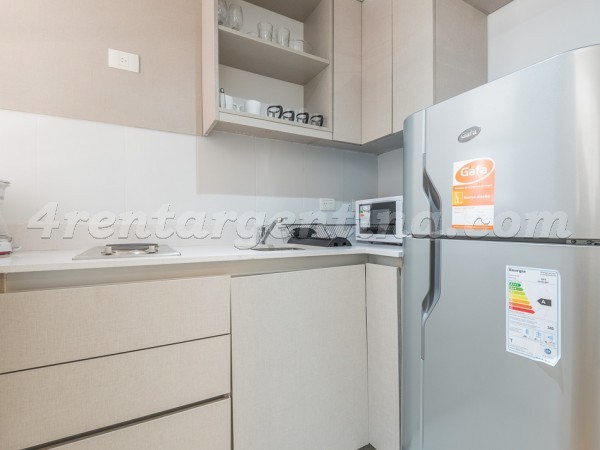 Apartment Paunero and Las Heras IX - 4rentargentina