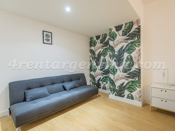 Apartment Paunero and Las Heras IX - 4rentargentina