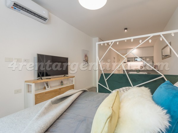 Darregueyra et Guemes I, apartment fully equipped