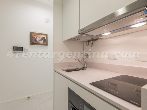 Juncal and Libertad II: Furnished apartment in Recoleta