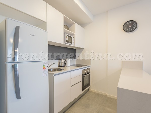 Scalabrini Ortiz et El Salvador IX: Furnished apartment in Palermo