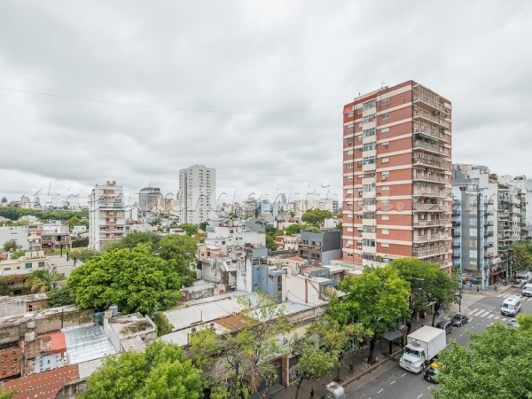 Scalabrini Ortiz y El Salvador XII, Palermo en Renta Temporaria