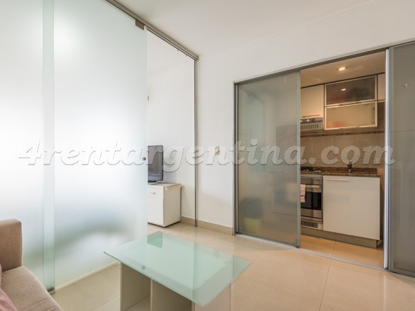 Coronel Diaz and Arenales VI: Apartment for rent in Buenos Aires