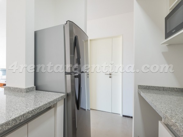Gallo and San Luis: Furnished apartment in Palermo