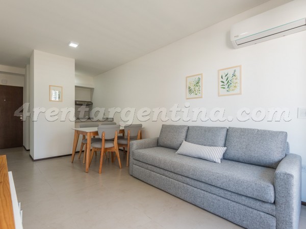 Gallo and San Luis, apartment fully equipped