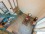 Flat Rental in Palermo