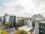 Niceto Vega and Bonpland II