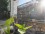 Cervio and Coronel Diaz: Furnished apartment in Palermo