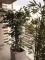 Ugarteche and Cervio: Furnished apartment in Palermo