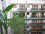 Ecuador and Santa Fe I, apartment fully equipped