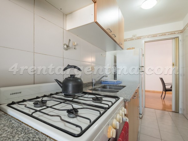 Gurruchaga and Charcas I, apartment fully equipped