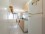 Gurruchaga and Charcas I: Apartment for rent in Buenos Aires