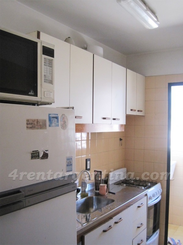 Cabello and Lafinur: Apartment for rent in Palermo