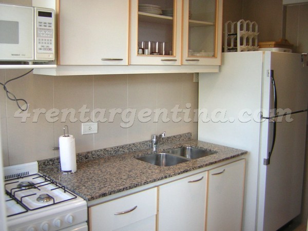 Paraguay and Scalabrini Ortiz II, apartment fully equipped