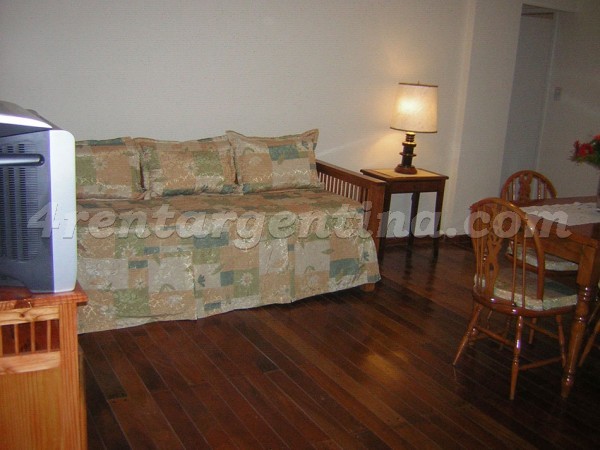 Departamento Amoblado en Junin y Bme. Mitre, Congreso